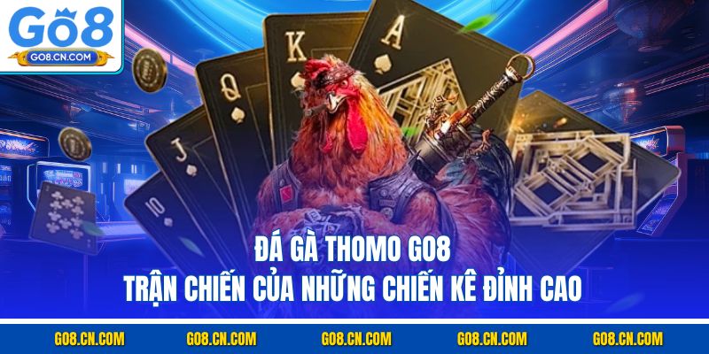 Đá gà thomo go8 trận chiến của những chiến kê đỉnh cao